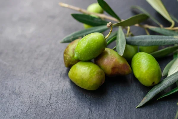 Оливки Оливковыми Листьями — стоковое фото
