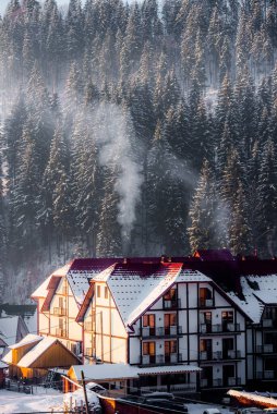 Çilek ve peynir, doğada gözlüklerle beyaz bir masada servis ediliyor.