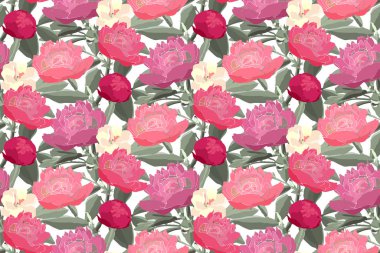 Çiçeksiz sanat vektörü deseni. Kırmızı, pembe, kremalı şakayık, keman tomurcukları, yeşil kıvranan fasulye sapları beyaz arka planda izole edilmiş. Döşeme deseni.