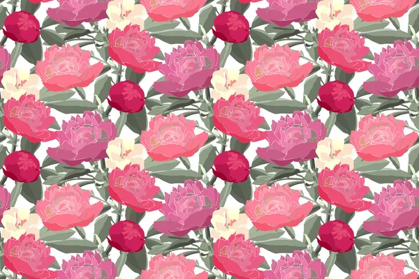 Arte Floral Padrão Sem Costura Vetor Vermelho Rosa Peônias Creme — Vetor de Stock
