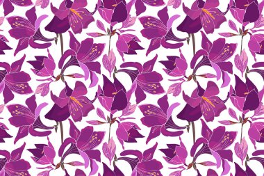 Zambakların, zambakların, zambakların, zambakların, zambakların, zambakların, hippilerin, şövalyelerin yıldızlarının olduğu bir desen. Beyaz arka planda izole edilmiş mor çiçekler. Bahar, yaz botanik deseni.