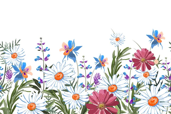 Vektor Floral Perbatasan Mulus Bunga Musim Panas Daun Hijau Chamomile - Stok Vektor