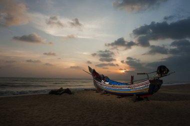 Tay uzun kuyruklu tekne