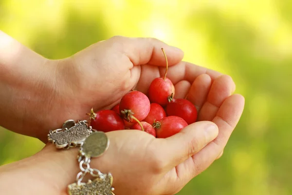 Close up of the hands — Stock Photo, Image