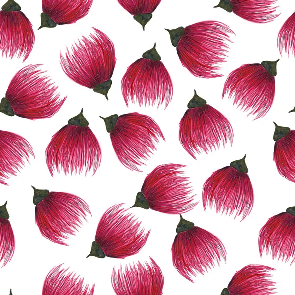Patrón Flores Sin Costuras Acuarela Ilustración Botánica Dibujo Manual Para — Foto de Stock