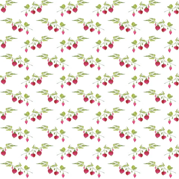Patrón Flores Sin Costuras Acuarela Ilustración Botánica Dibujo Manual Para —  Fotos de Stock