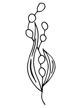 Unusual flower plants in vector drawn by hands. For cover design, notebook, packaging, scrapbooking, things, poster, poster, fabric.