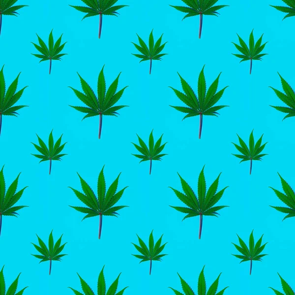 Sömlöst mönster av cannabis färskt grönt löv på en vanlig bakgrund, — Stockfoto