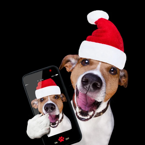 Noel Noel Baba köpek izole üzerinde siyah selfie — Stok fotoğraf