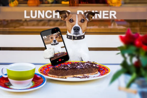 Hond cake en thee eten bij resataurant selfie — Stockfoto