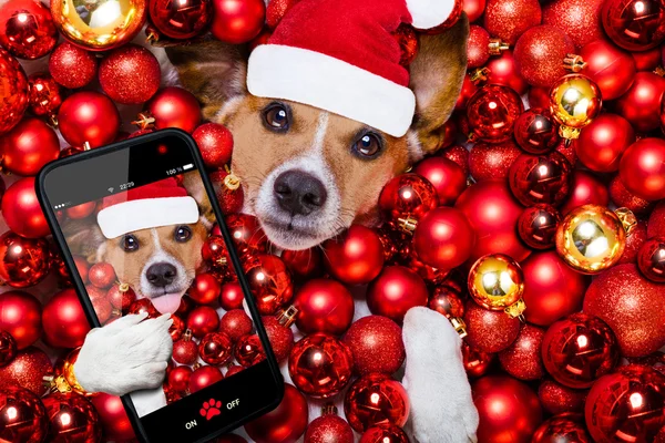 Noel Noel Baba köpek ve xmas arka plan olarak topları — Stok fotoğraf