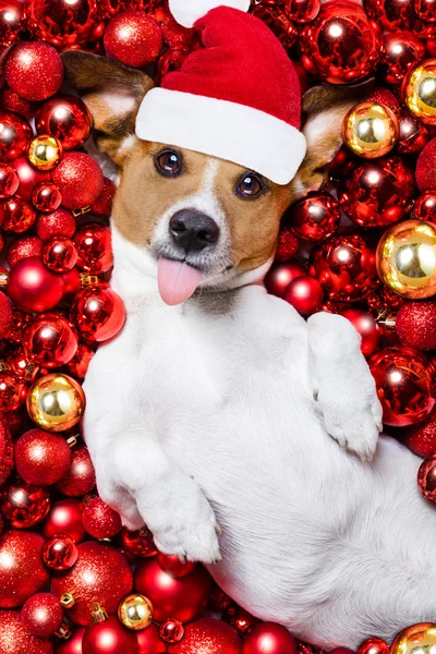 Χριστούγεννα τον Άγιο Βασίλη σκυλί και Χριστούγεννα μπάλες ως φόντο — Φωτογραφία Αρχείου