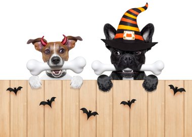 Cadılar Bayramı şeytan köpek yemek için aç