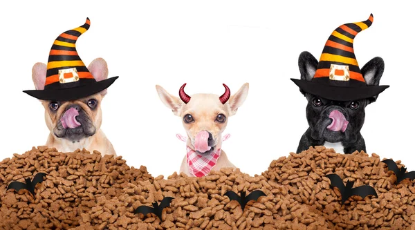 Halloween diabeł psy głodny jedzenie — Zdjęcie stockowe