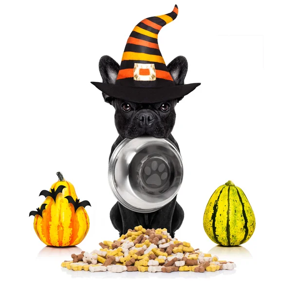 Halloween diable chien faim de nourriture — Photo