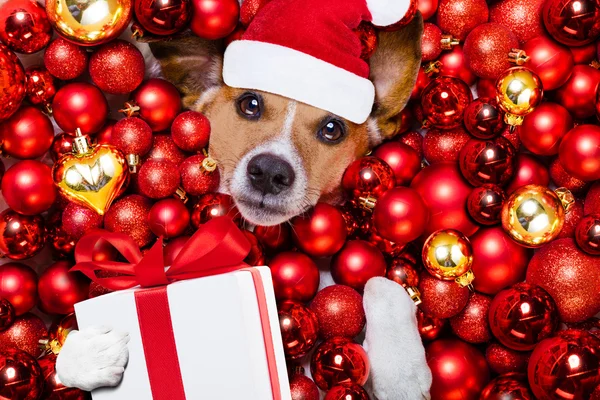 Jul jultomte hund och xmas bollar som bakgrund — Stockfoto