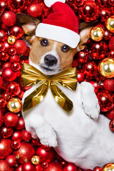 サンタ クロースのクリスマス犬とクリスマス ボールの背景として — ストック写真