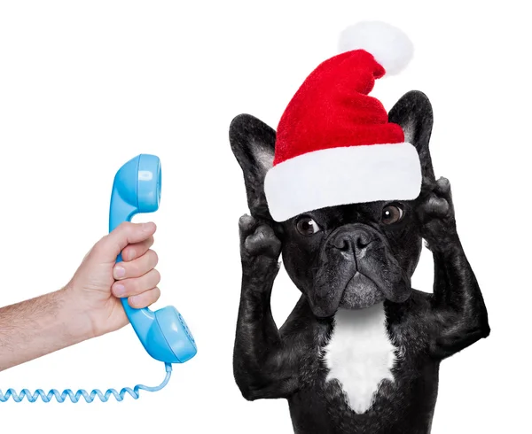 Dog on the phone christmas santa hat — Stock Photo, Image