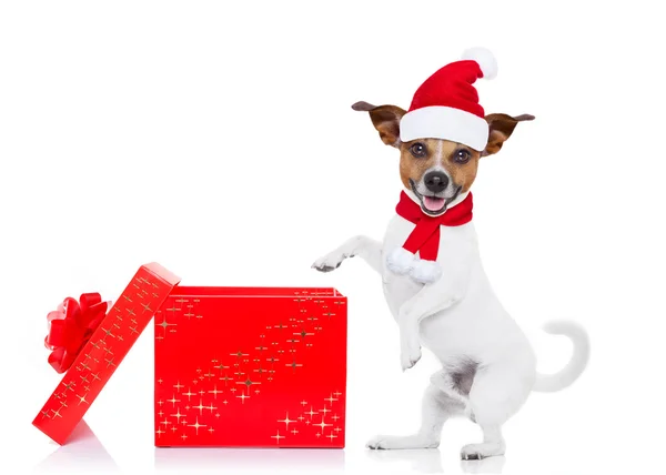 Σκύλος santa Χριστούγεννα — Φωτογραφία Αρχείου