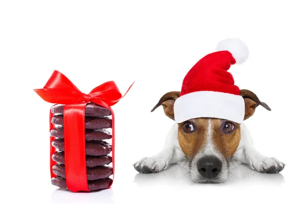 Christmas santa hond — Stockfoto