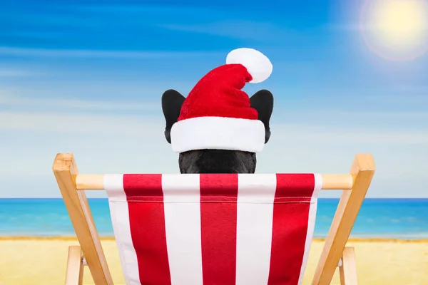 Dog beach chair on christmas holidays — Stock Photo, Image