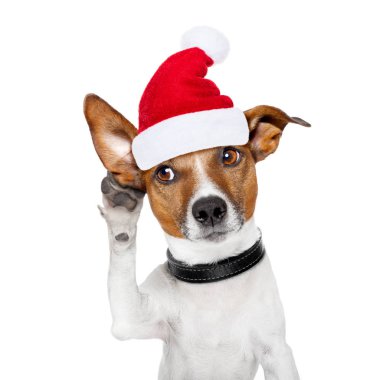 köpek Noel için telefon