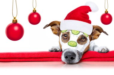 köpek güzellik maskesi sağlık spa ile