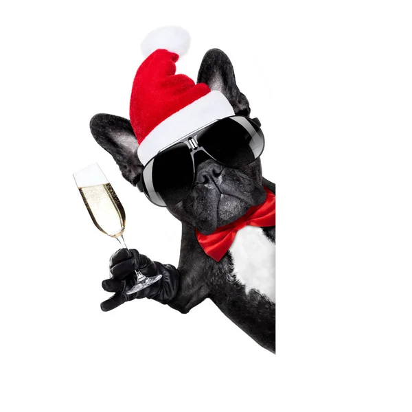 Papai Noel Natal cão — Fotografia de Stock