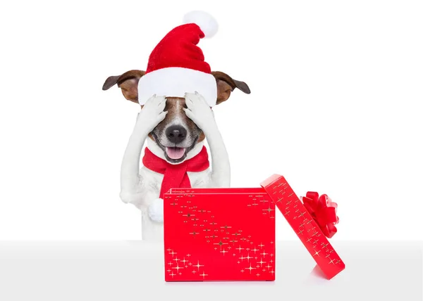 Babbo Natale eccitato e sorpreso cane — Foto Stock