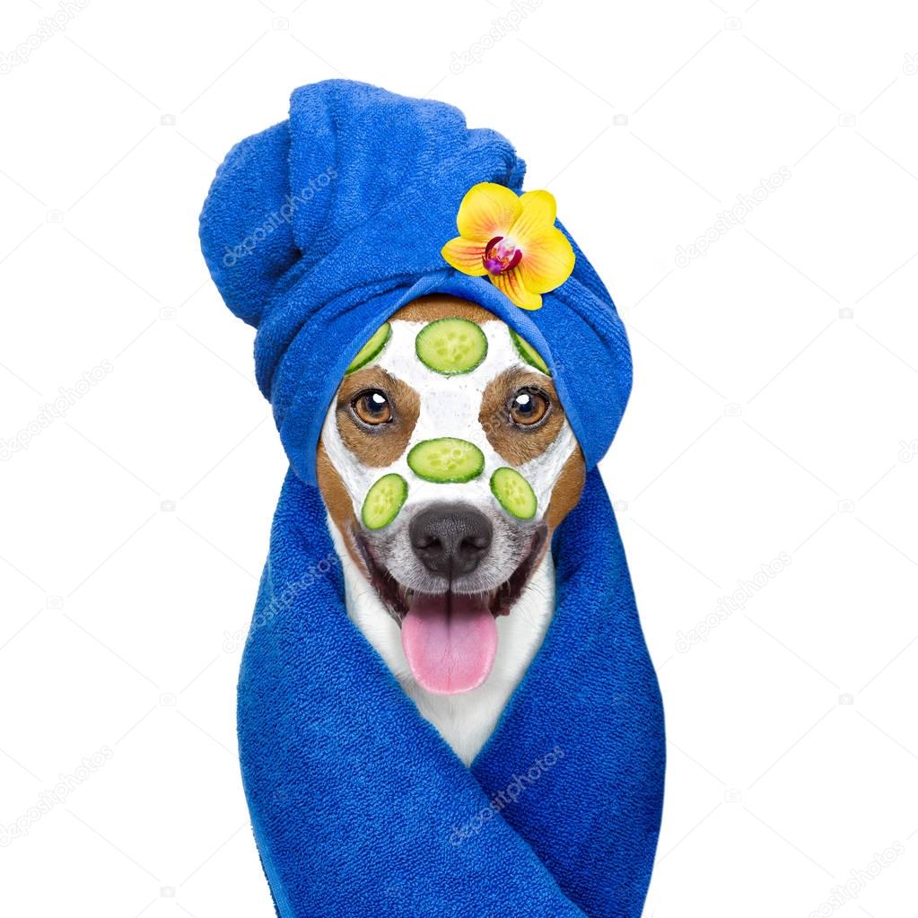 Wellness beauty mask spa dog — Stock Photo © damedeeso #129544036
