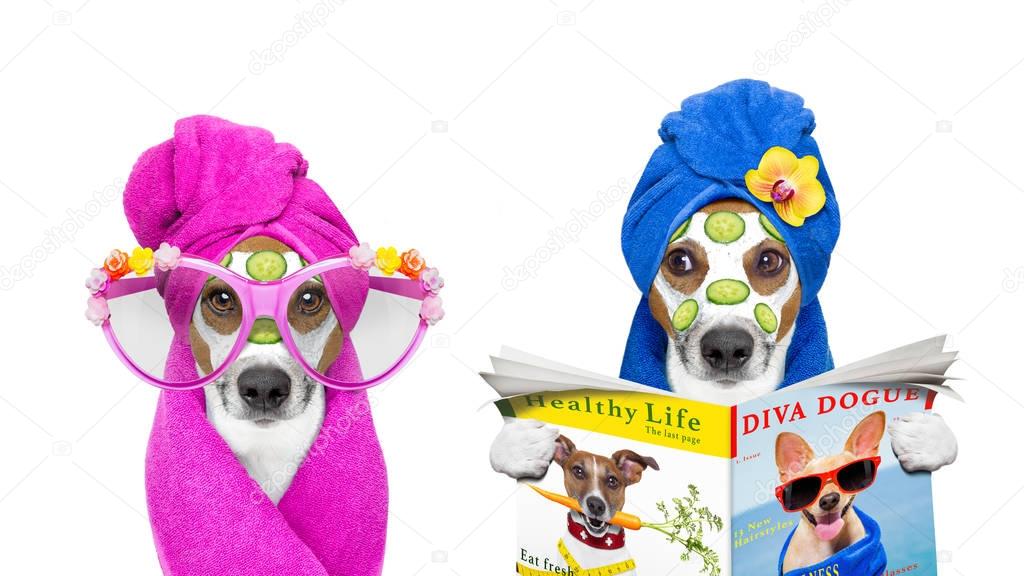 dogs with a beauty mask wellness spa 