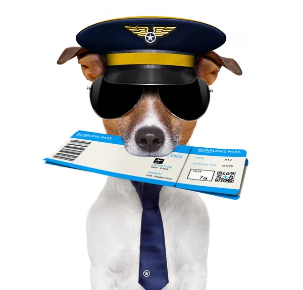 Airline pilot flight attendant check in  ticket — Stock Photo, Image