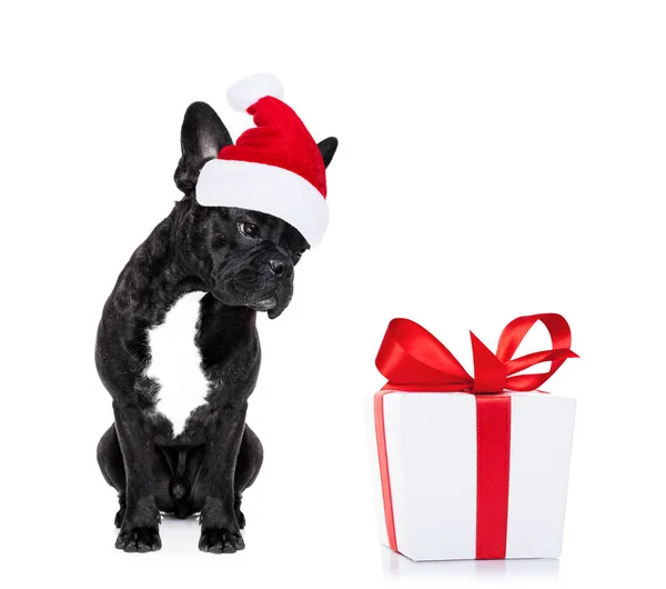 Christmas santa hond — Stockfoto