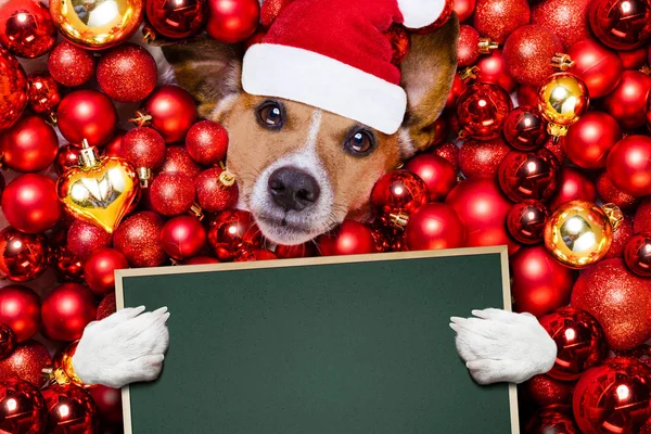 サンタ クロースのクリスマス犬とクリスマス ボールの背景として — ストック写真
