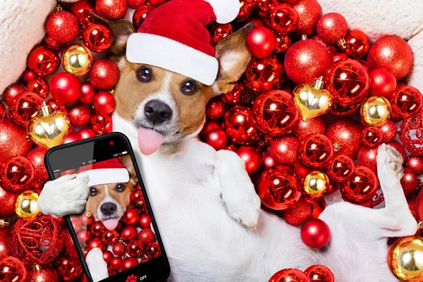 Noel Noel Baba köpek ve xmas arka plan olarak topları — Stok fotoğraf