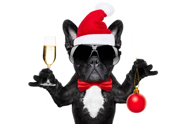 Jultomten jul hund — Stockfoto