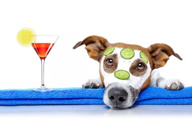 köpek güzellik maskesi sağlık spa ile