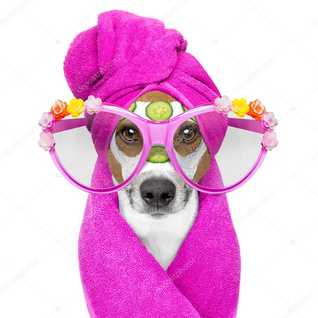 dog with a beauty mask wellness spa