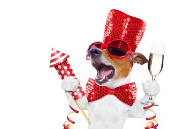 mutlu yeni yıl köpek celberation