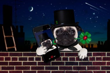 mutlu yeni yıl köpek celberation