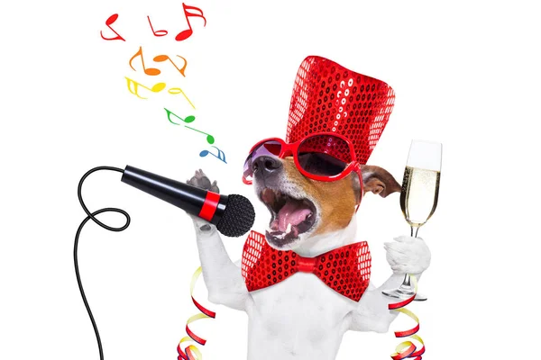 Happy new year dog celberation — Stock Photo, Image
