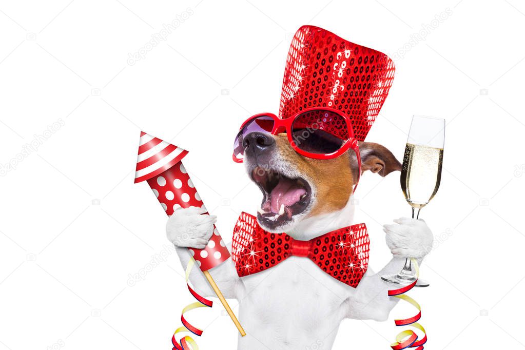 happy new year dog celberation