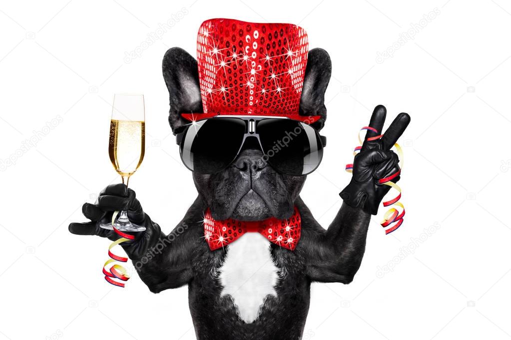 happy new year dog celberation