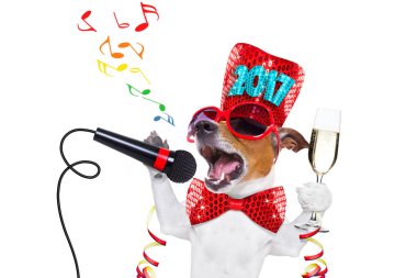 mutlu yeni yıl köpek celberation