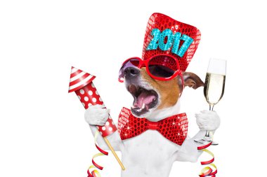 mutlu yeni yıl köpek celberation