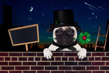 mutlu yeni yıl köpek celberation