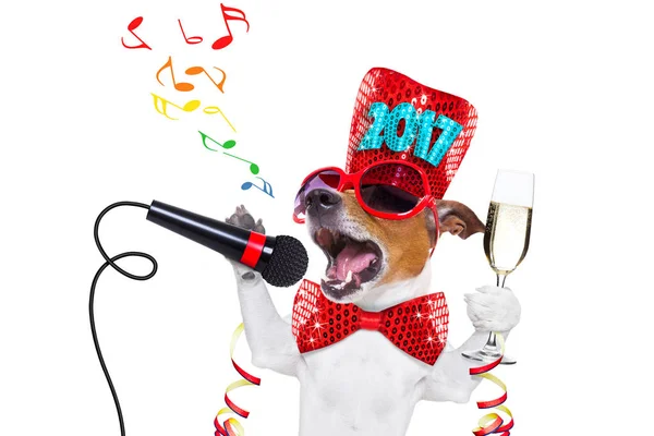 Happy new year dog celberation — Stock Photo, Image