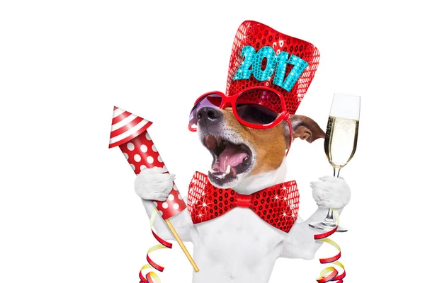 Feliz año nuevo celberation perro — Foto de Stock