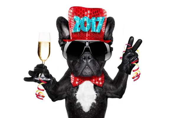 Gelukkig Nieuwjaar hond celberation — Stockfoto