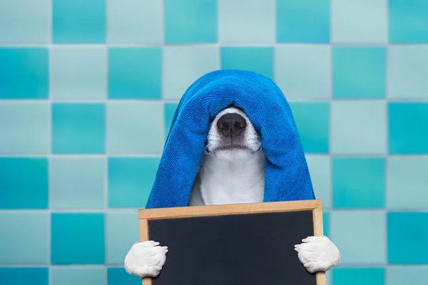 Hund in Dusche oder Wellness-Spa — Stockfoto